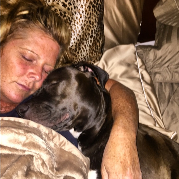 My rescue babies🐾Reilly,Baya & the newest Apryl …now the newest newest… Elynor! - Picture 5 of 12